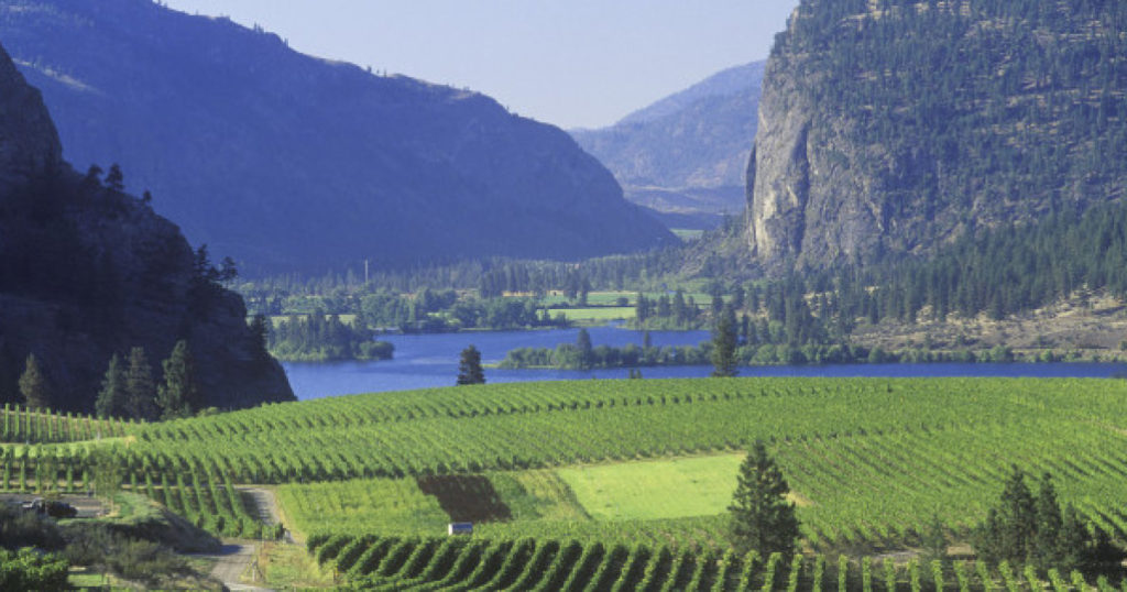 Okanagan Wines