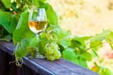 WHITE-WINES