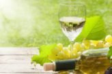 wine_Organic-Wine-in-India
